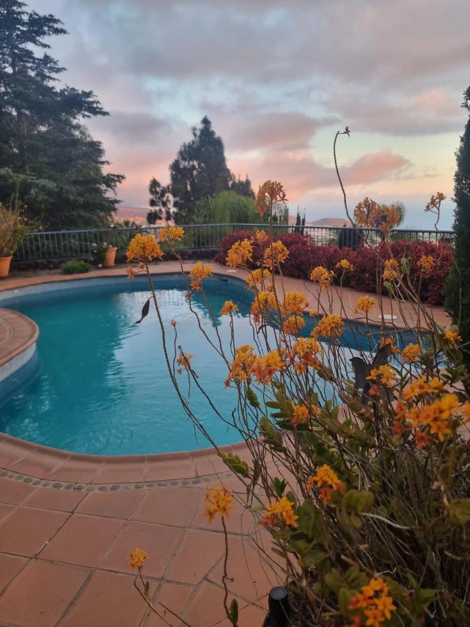 Villa Torres Los Llanos De Aridane Εξωτερικό φωτογραφία