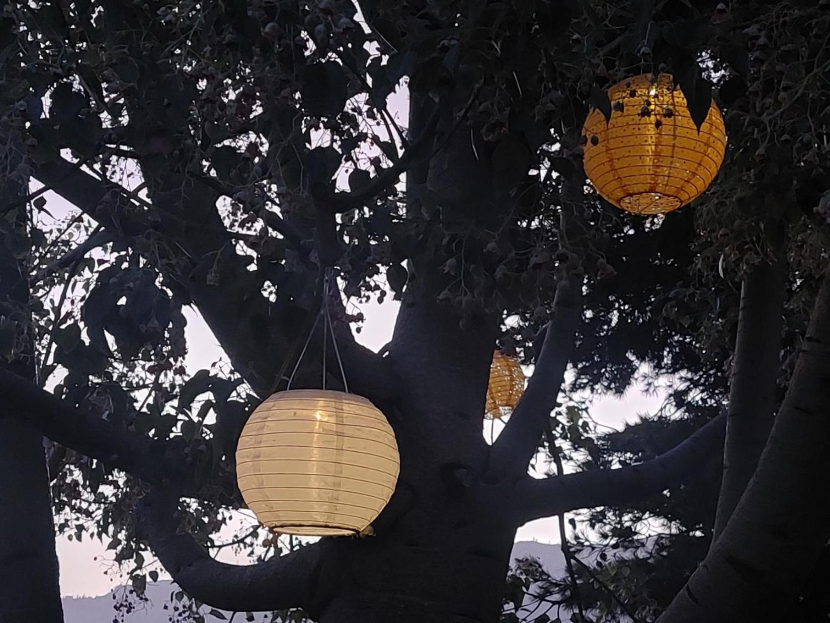 Villa Torres Los Llanos De Aridane Εξωτερικό φωτογραφία