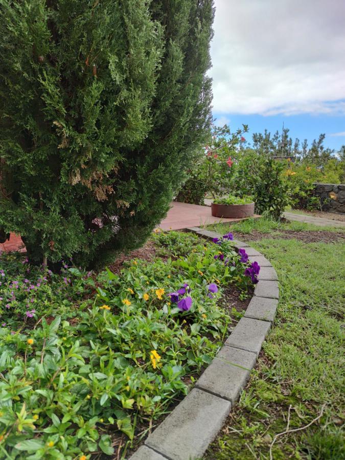 Villa Torres Los Llanos De Aridane Εξωτερικό φωτογραφία